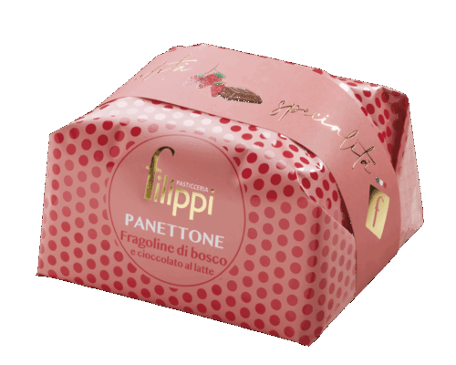 filippi_panettone_fragoline_cioccolato