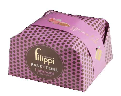 filippi_panettone_lamponi_cioccolato_fondente