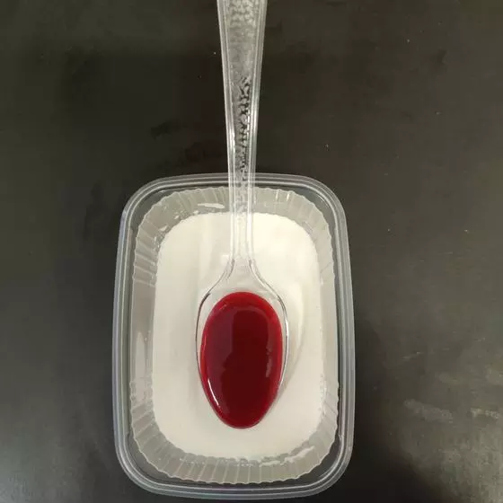 Panna cotta nappée de coulis de fruits rouges
